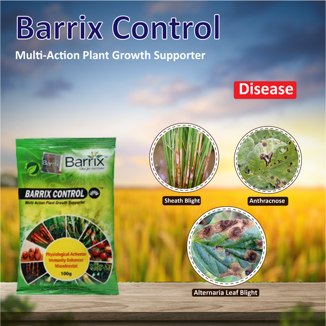 Barrix Control - 20 GM