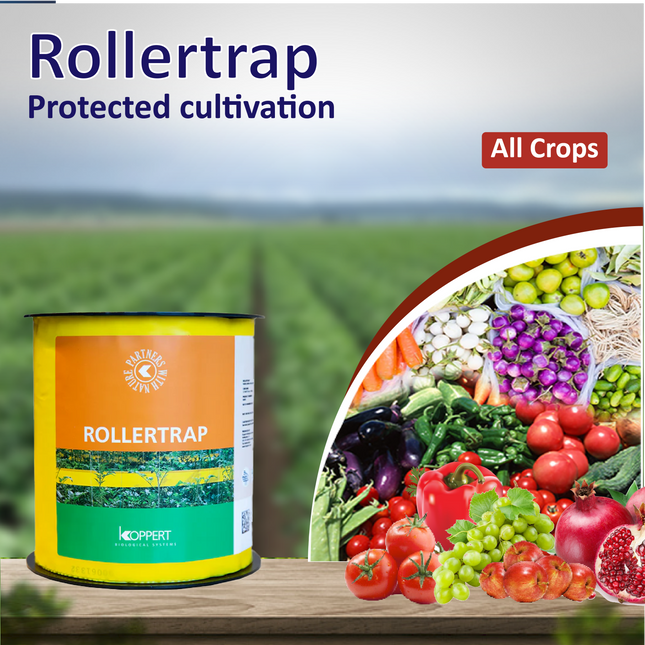 Koppert Rollertrap Yellow