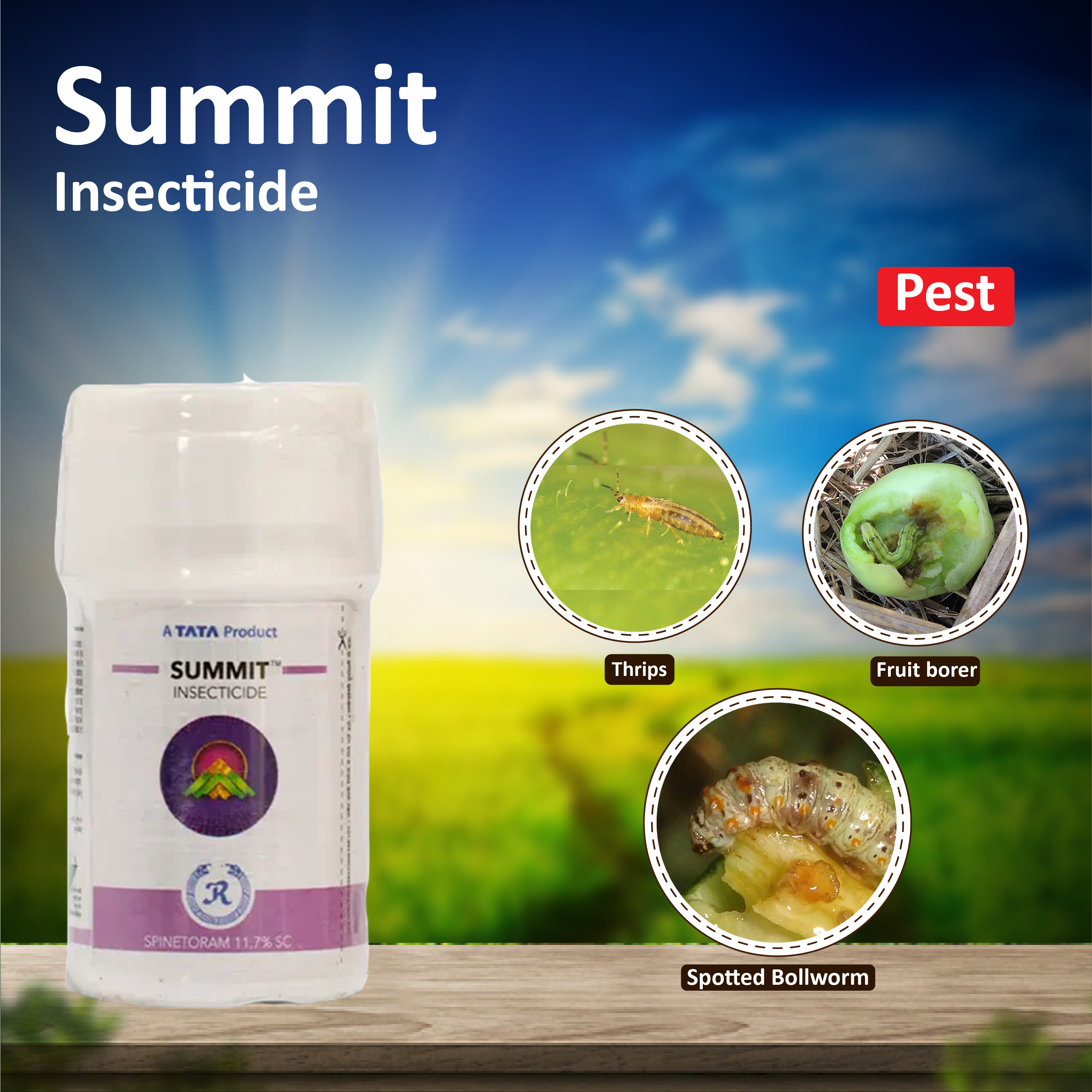 Temu Insecticides Tata Summit Insecticide - 100 ML – Agriplex