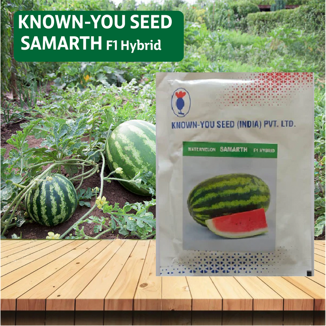 Known You Samarth Watermelon Seeds - 50GM - Agriplex