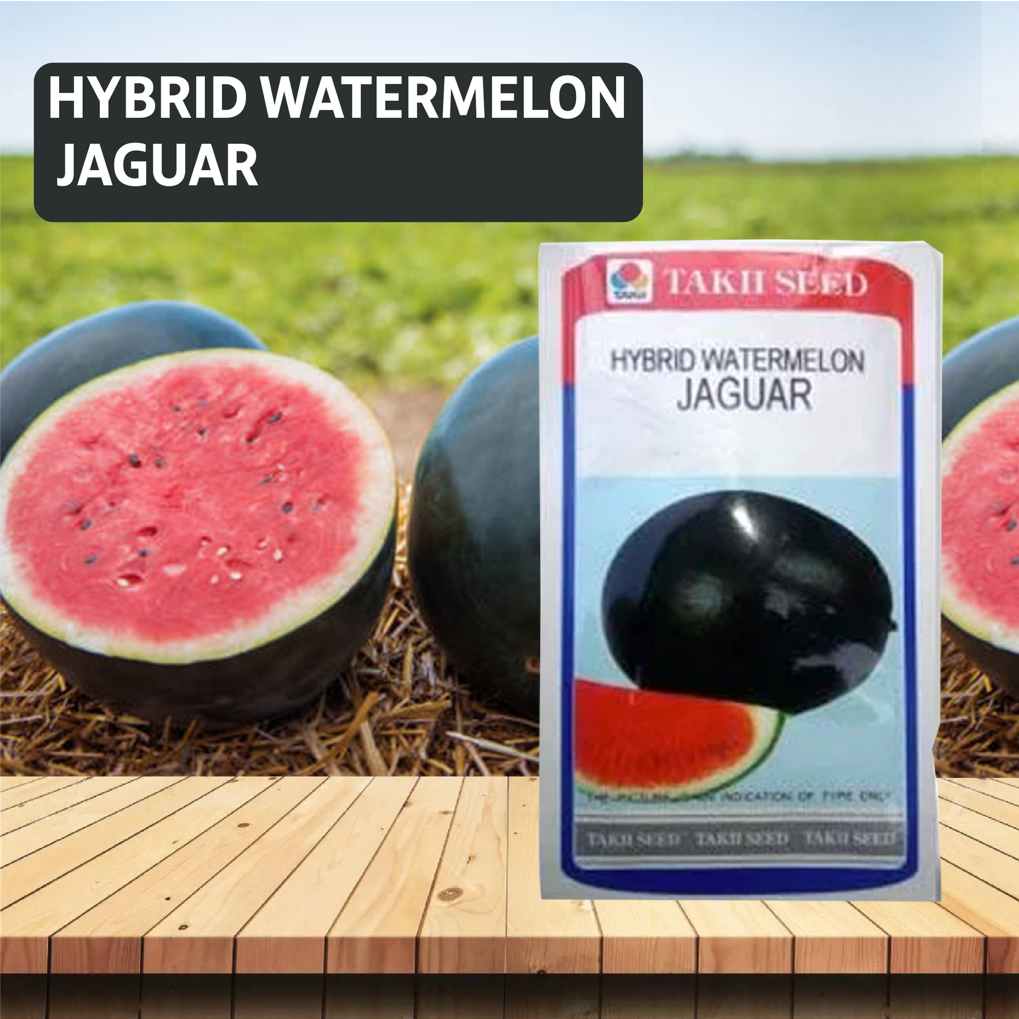 Taki Jaguar Watermelon F1 Seeds - 10 GM - Agriplex