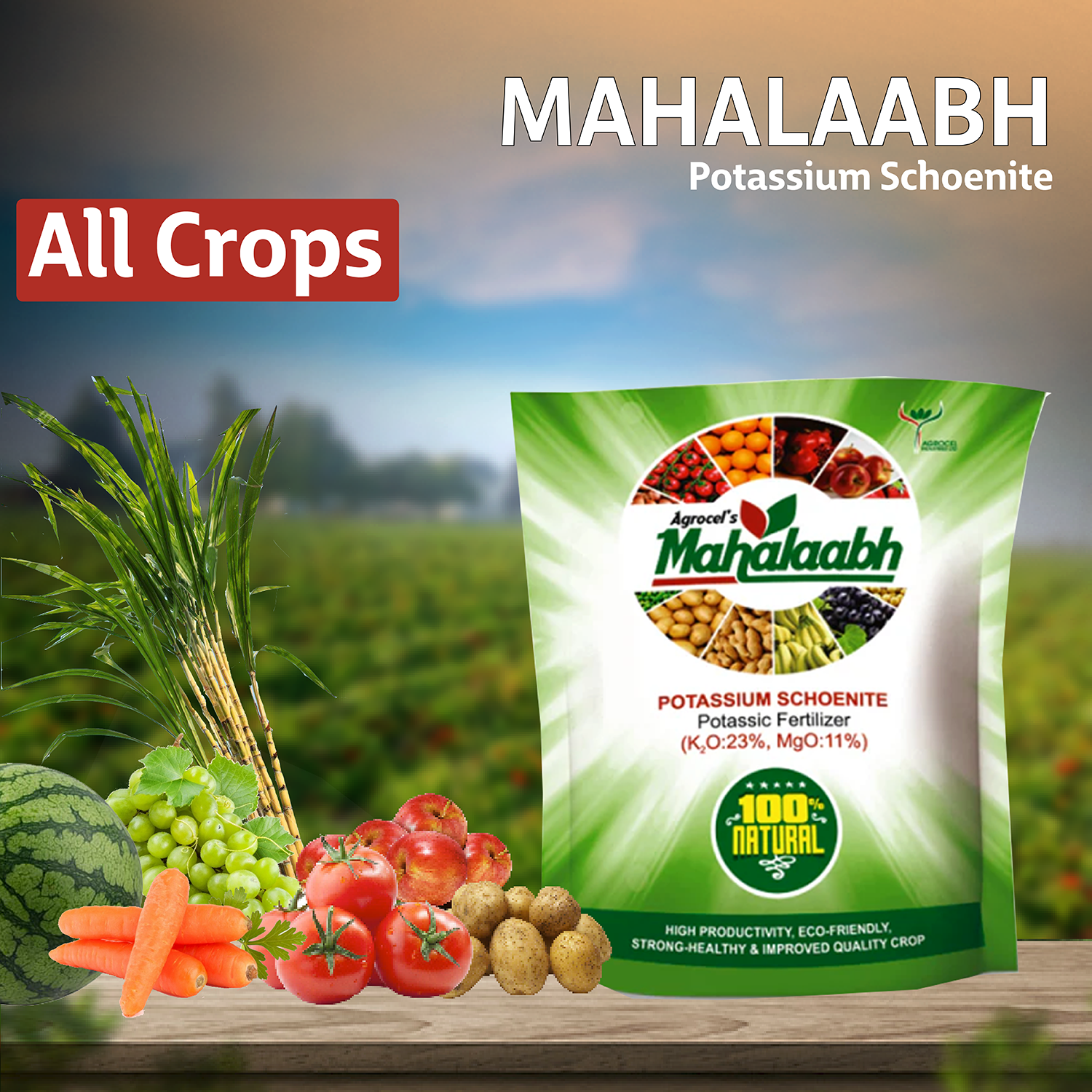 Potassium Schoenite Mahalabh Fertilizer - 1 KG - Agriplex