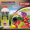 Multiplex Nagamruta (Alpha Naphthyl Acetic Acid  4.5% S.L)