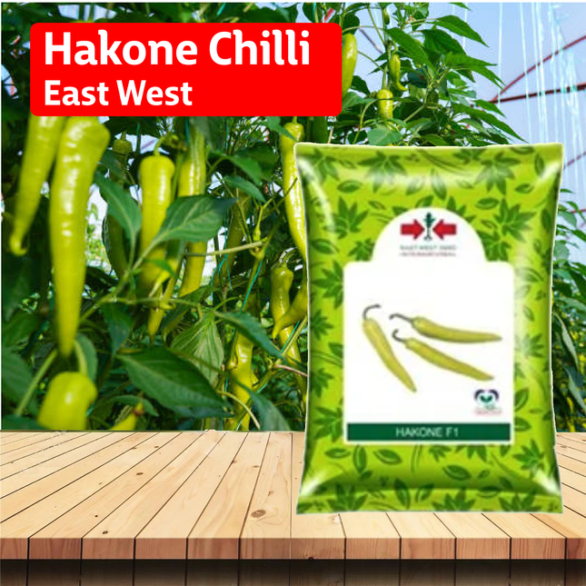 East West Hakone Chilli Seeds - Agriplex