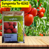 Syngenta TO-6242 Tomato Seeds - 3000 SEEDS - Agriplex