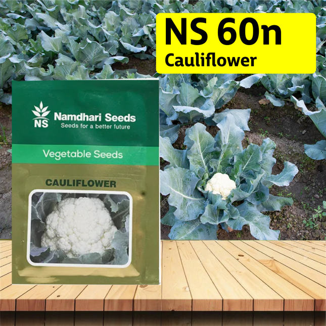 NS 60n Cauliflower Seeds - Agriplex