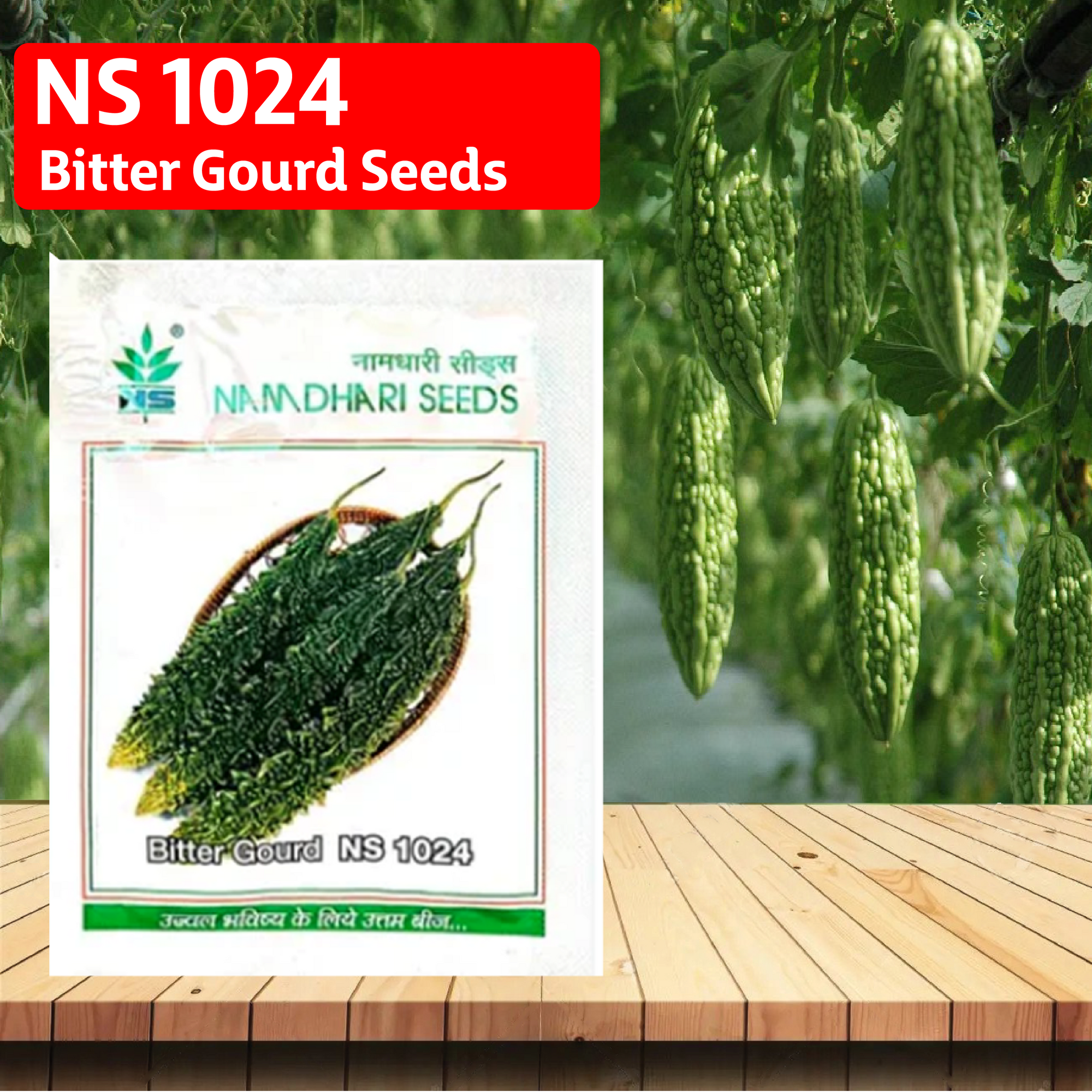 NS 1024 Bitter Gourd Seeds - Agriplex