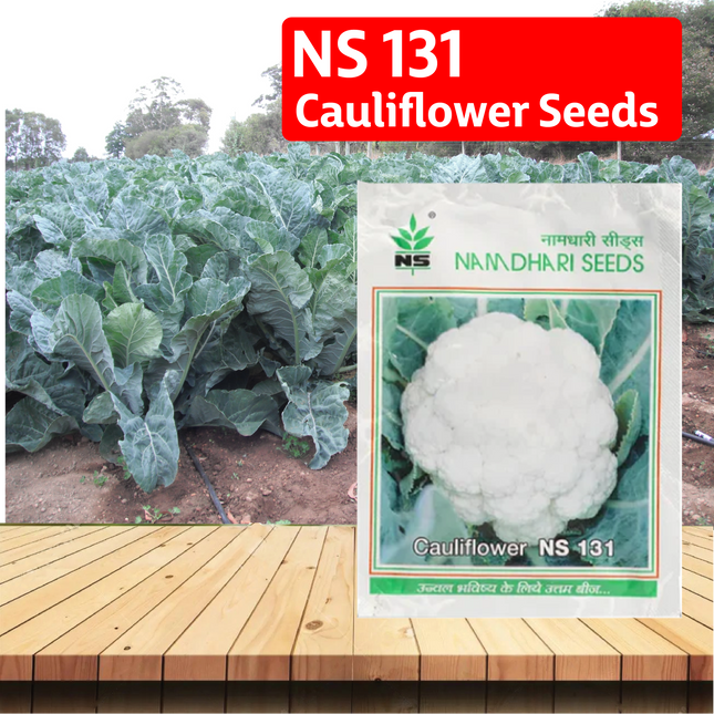 NS 131 Cauliflower Seeds - Agriplex