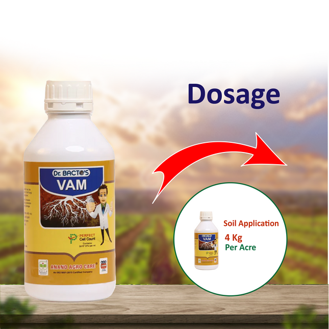 Anand Agro Dr Bacto's Vam (Bio Fertlizer)