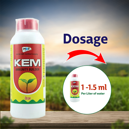 MBF Kem Insecticide