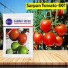 Sarpan Tomato-801 Seeds - Agriplex