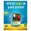 Katyayani Bordeaux Mixture | Chemical Fungicide