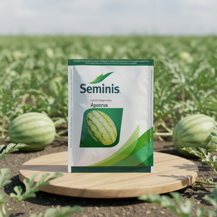 Seminis Apoorva Watermelon