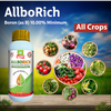 Multiplex Allborich Liquid Boron Fertilizer (Boron 10%)