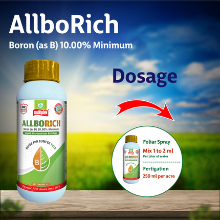 Multiplex Allborich Liquid Boron Fertilizer (Boron 10%)