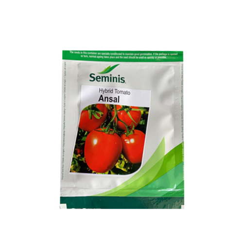 Buy Seminis Ansal Tomato Seeds Online – Agriplex