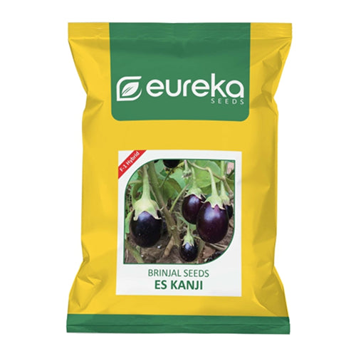 EUREKA BRINJAL ES KANJI F1 HYBRID SEEDS - 10 GMS