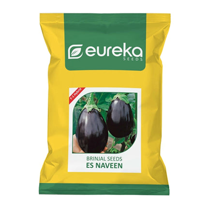 EUREKA BRINJAL ES NAVEEN F1 HYBRID SEEDS - 10 GMS