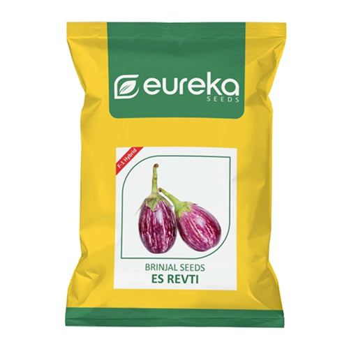 EUREKA BRINJAL ES REVTI F1 HYBRID SEEDS - 10 GMS