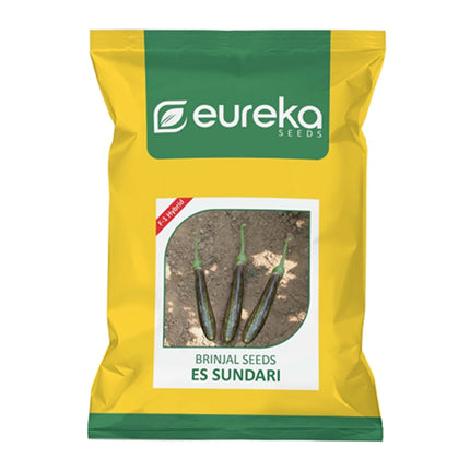 EUREKA BRINJAL ES SUNDARI F1 HYBRID SEEDS - 10 GMS