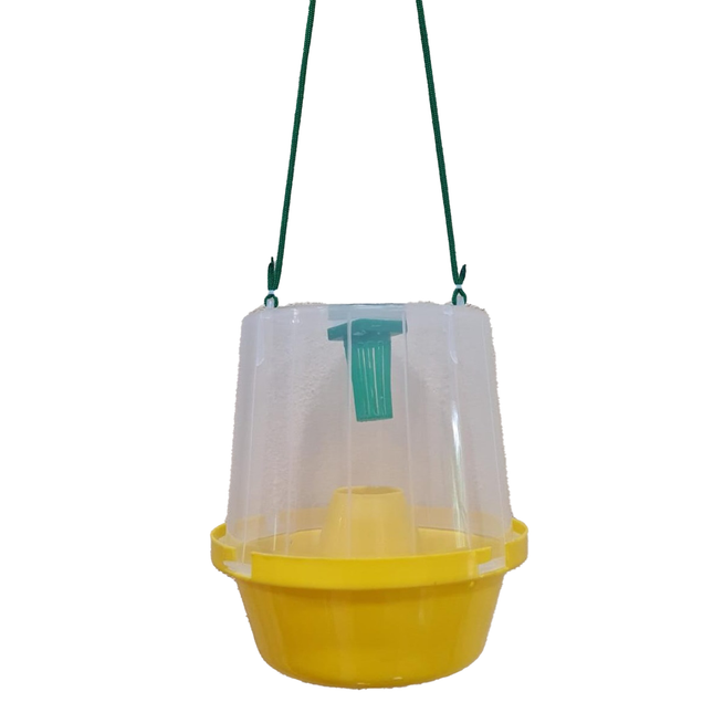 Koppert Bactosan Trap