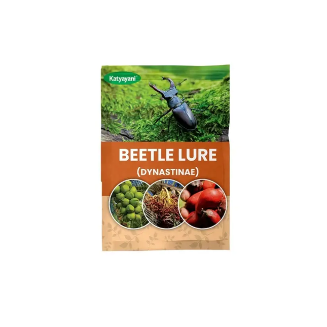 Katyayani Beetle Lure (Dynastinae)