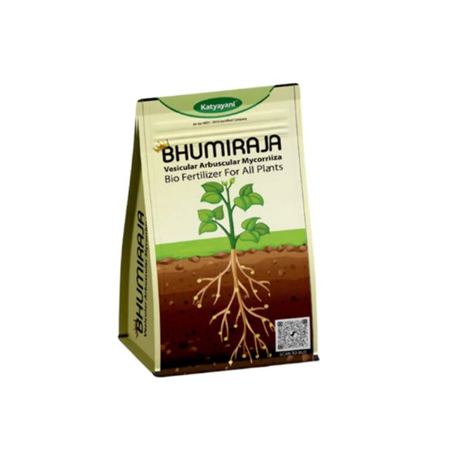 Katyayani Bhumiraja | Mycorrhiza | Bio Fertilizer