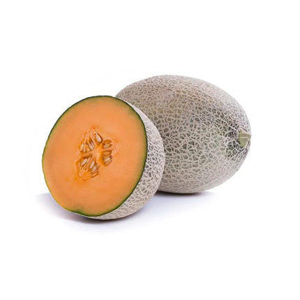 CARIBBEAN GOLD RZ F1 Muskmelon - 1000 seeds