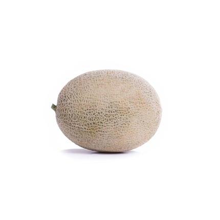 CARIBBEAN KING RZ F1 Muskmelon - 1000 seeds