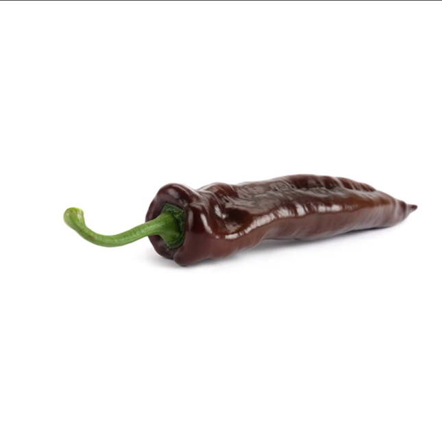 PALERMO CHOCOLONY RZ F1 Sweet Pepper - 100 seeds