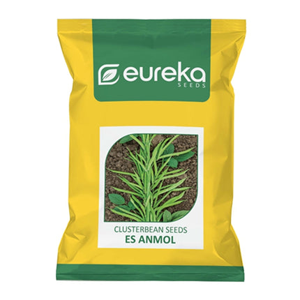 EUREKA CLUSTERBEAN ES ANMOL IMPROVED SEEDS
