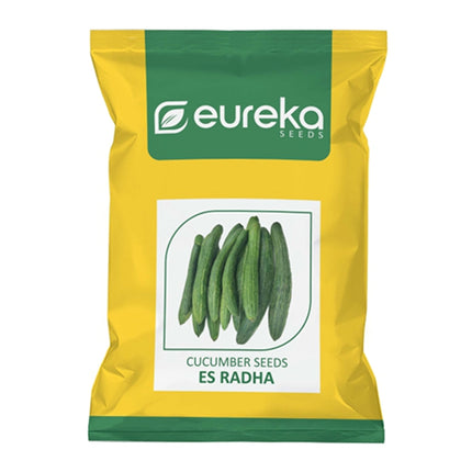 EUREKA CUCUMBER ES RADHA IMPROVED SEEDS