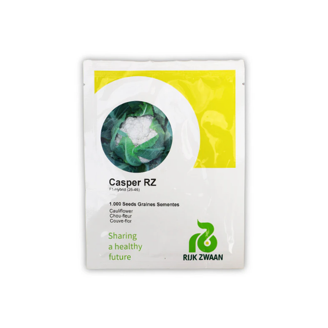 Casper F1 Hybrid Cauliflower - 2500 SEEDS