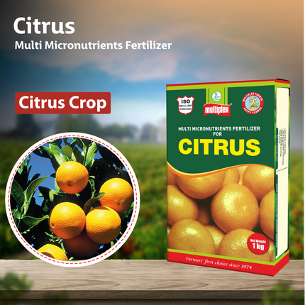 Multiplex Citrus Multi Micronutrient - 500 GM