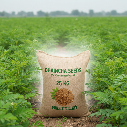 Dhaincha Seeds (Sesbania aculeata) - 25 KG