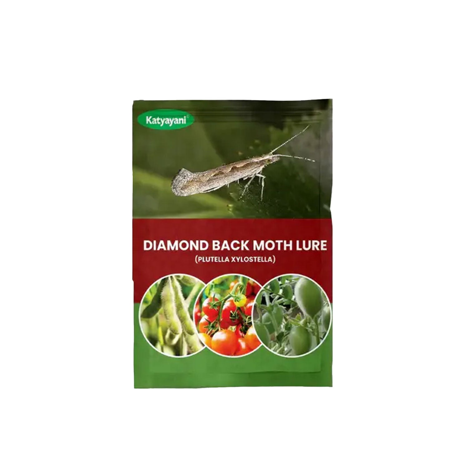 Katyayani Diamond Back Moth Lure (Plutella Xylostella)