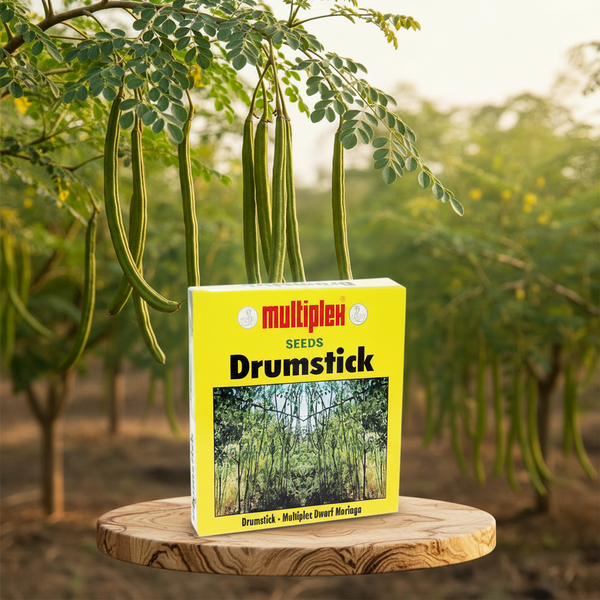 Multiplex Drumstick - Dwarf Moringa - 20 GM