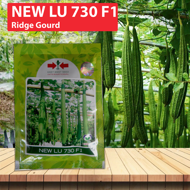 East West New Lu 730 Ridge Gourd Seeds