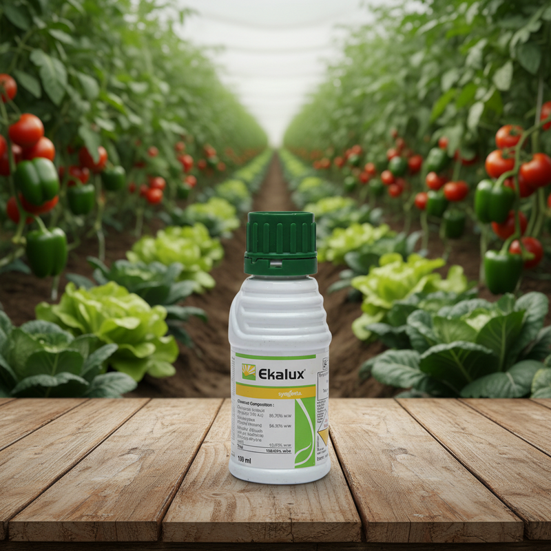 Syngenta Ekalux (Quinalphos 25% EC) Insecticide
