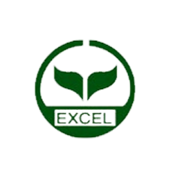 Excel