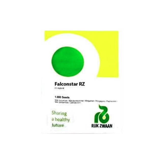 FALCONSTAR RZ F1 CUCUMBER - 1000 SEEDS