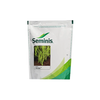Seminis Falguni Garden Bean -500 GM