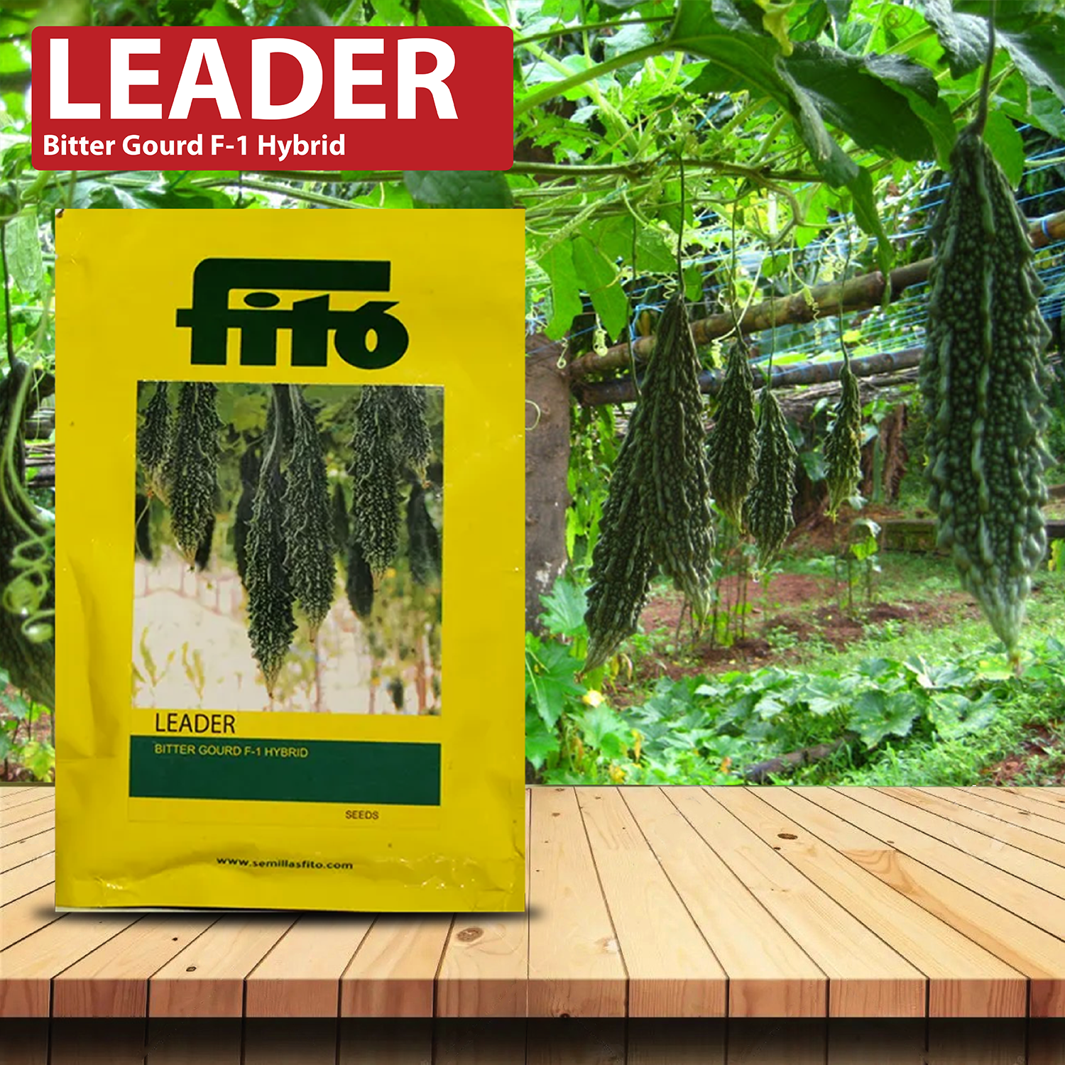 FITO Leader Bitter Gourd Seeds - Agriplex