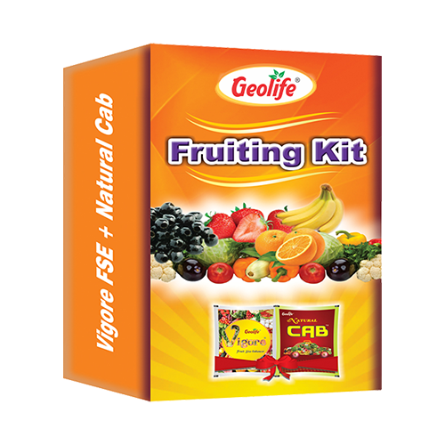 Geolife Fruiting Kit - 60 GM