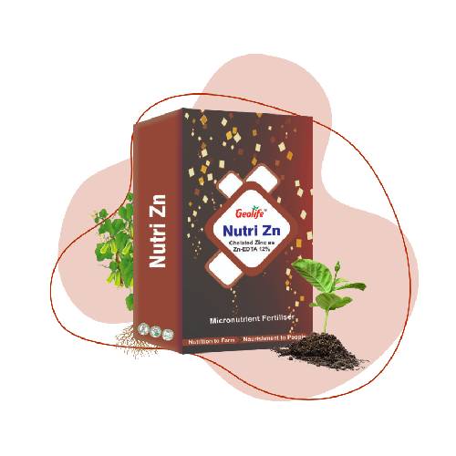 Geolife Nutri ZN - 50 GM