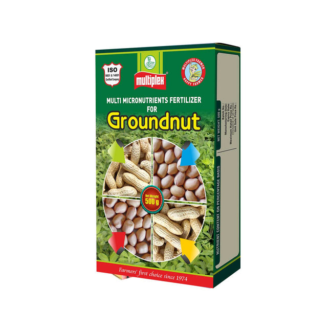 Multiplex Groundnut - 500 GM