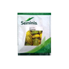 Seminis Hiranya - Sambar Cucumber - Agriplex