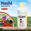 Sumitomo Hoshi