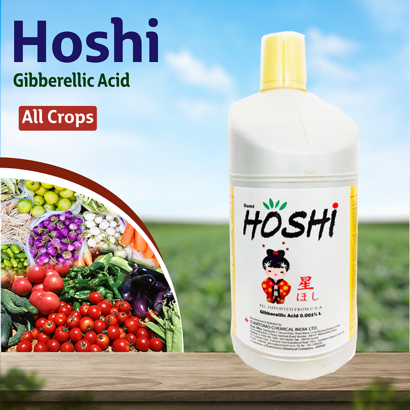 Sumitomo Hoshi