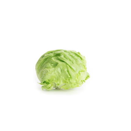 IZANAS RZ Lettuce - 5000 seeds